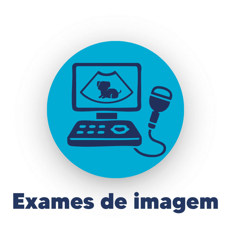 CuidarPets - Exames de Imagem