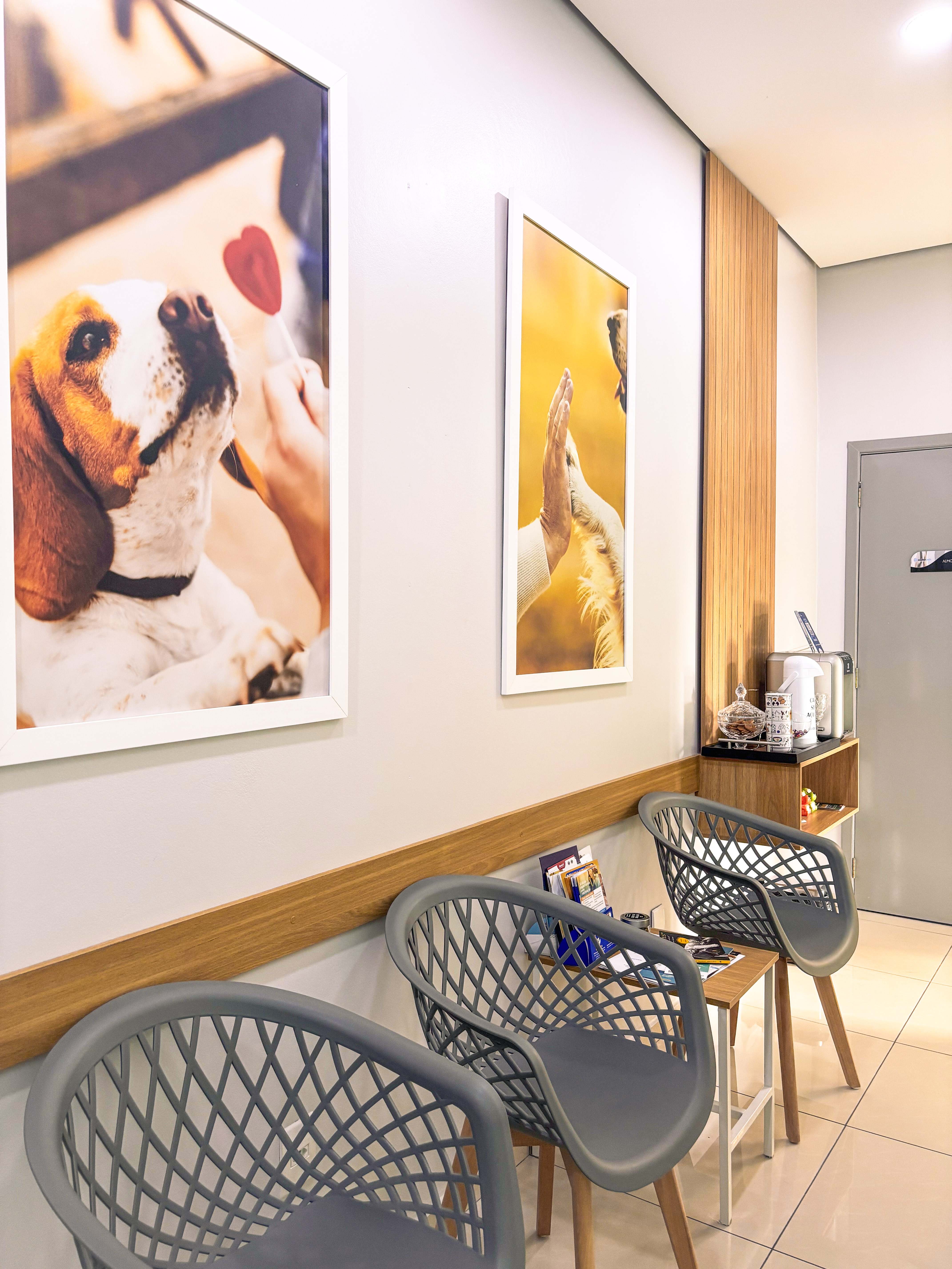 Sala de espera - Cuidar Pets